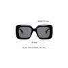 Celine Square Acetate Sunglasses With Mirror Legs Unisex sunglasses Black CL40263I5401A
