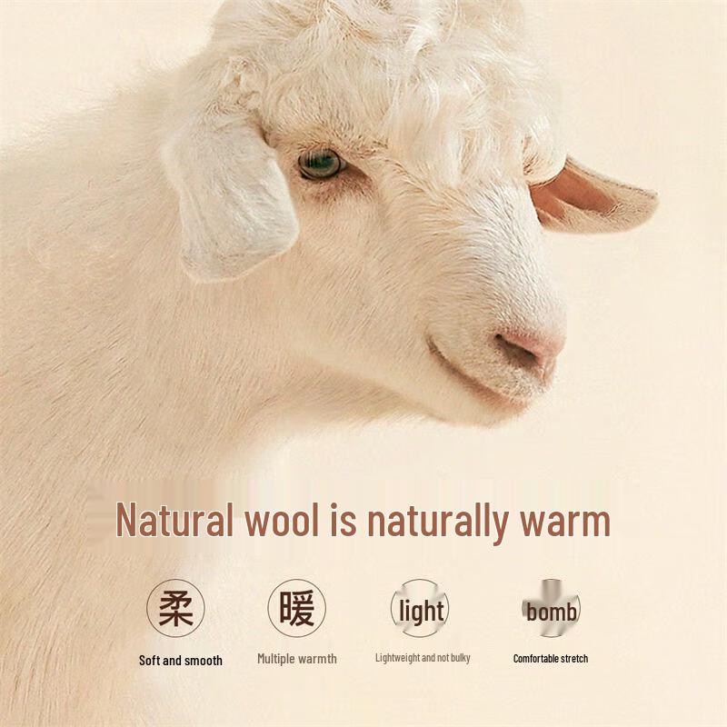 Shanshan Men's Wool Blend Business Casual Zipper Jacket