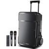 SANSUI A12 Portable KTV Trolley Speaker with Dual Wireless Microphones CN Plug (adapter Included)