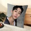 Seo Bumjune Actor Cushion Cover Silky Short Plush Home Sofa Cushion Cover - Invisible Zipper Home Decoration