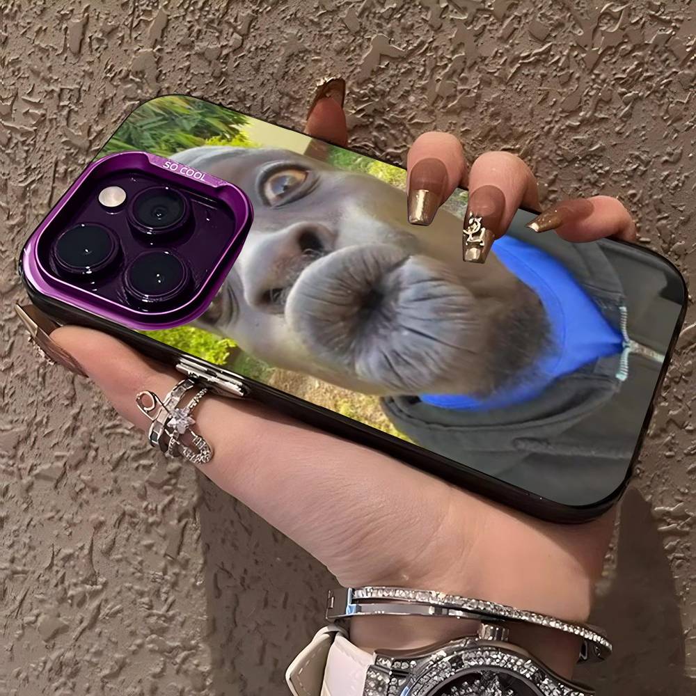 Hässlicher Mann Lustige Handyhülle Für IPhone 16 15 14 13 12 11 Pro Max 17 Plus Bunte Hülle