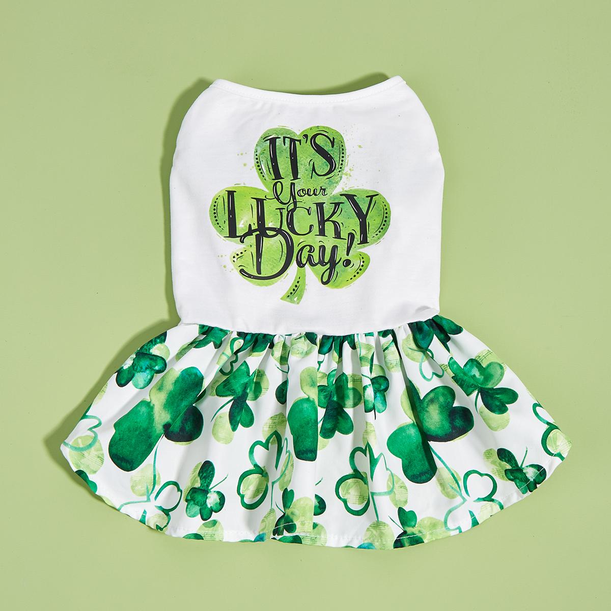 

Cutest Clover in The Dog Dress, St Patricks Day Dog Clothes for Small Dogs Girl, Funny Pet Apparel Cat Holiday Outfit XS（old） зелёный