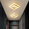 LED Minimalist Modern Aisle, Entrance, Walk-in Closet, and Balcony Dimmable Light