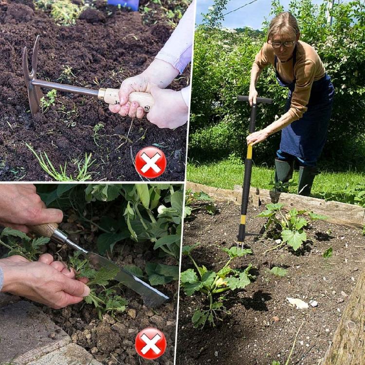 Gardening Weeder With Detachable Stainless Components Standing Operation Reduces Back Strain During Use