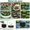 with Handles Aquatic Plant Baskets PVC Mesh Planting Grow Bag Lotus Planter  Pond Landscaping