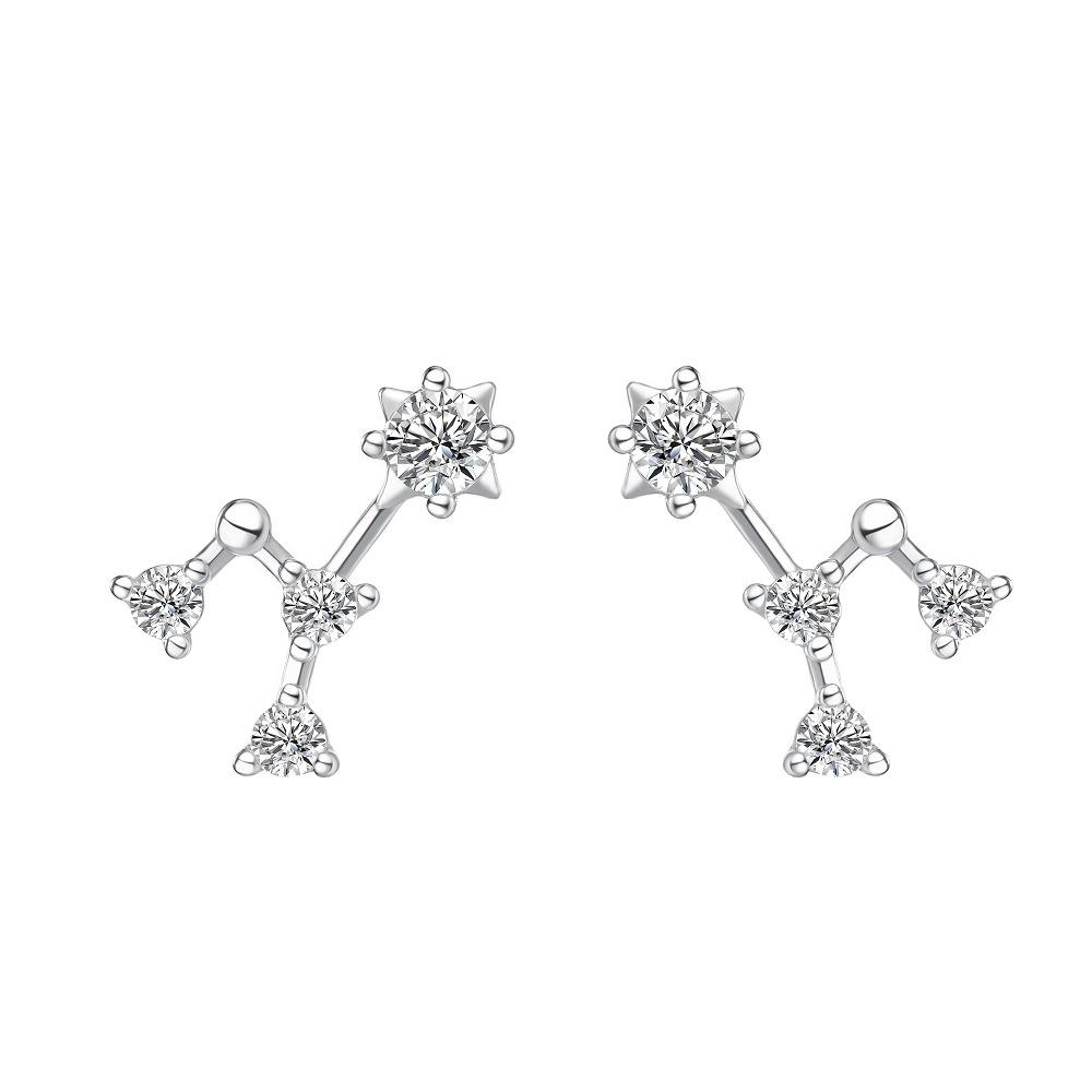 Korean Fashion Twelve Constellation Earrings for Women S925 Sterling Silver Exquisite Sparkling Zircon Earrings