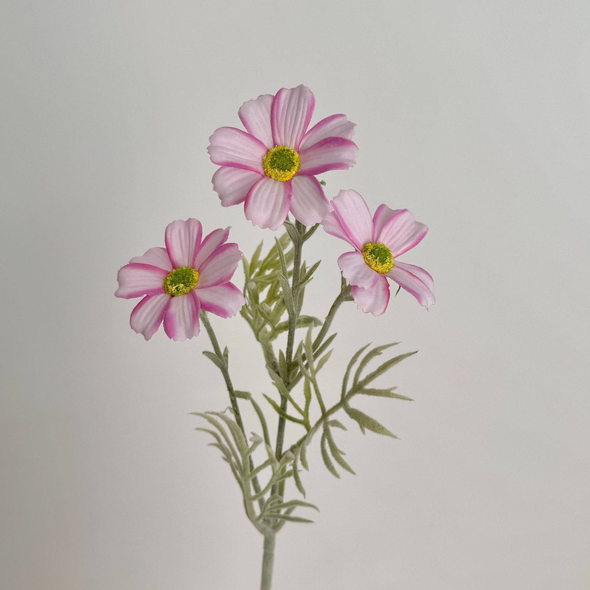 

Инс Фэнгесанг Искусственный цветок Хризантема Персидская ромашка Букет Искусственный цветок Украшение Цветочная композиция Шелковый цветок Реквизит для фото розовый