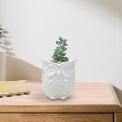 Blumentopf, Bonsai-Eulenform, Zimmerpflanzenbehälter für Regal, Garten, Büro