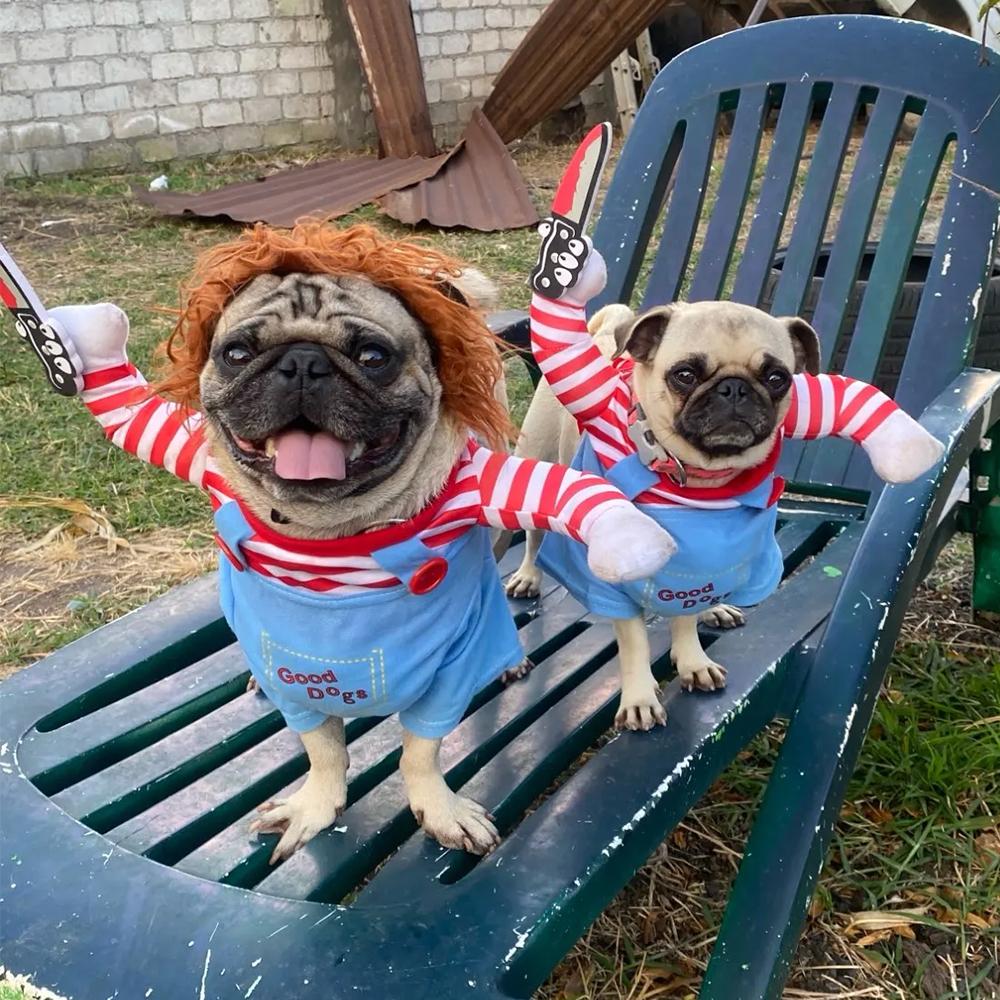 Halloween-Hundekostüme, lustige Haustierkleidung, verstellbare Hunde-Cosplay-Kostüm-Sets, neuartige Kleidung für mittelgroße und große Hunde, Bulldogge, Mops