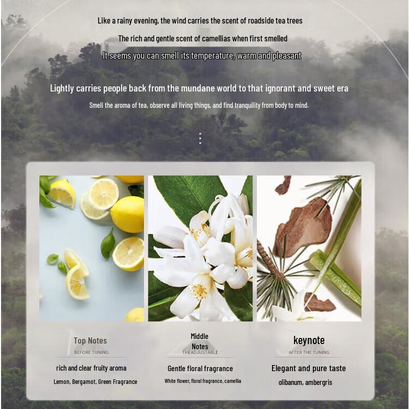 Vitesse Refreshing Volumizing Dry Shampoo