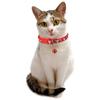New With Bell Adjustable Breakaway Quick Release Kitten Safety Cat Collar