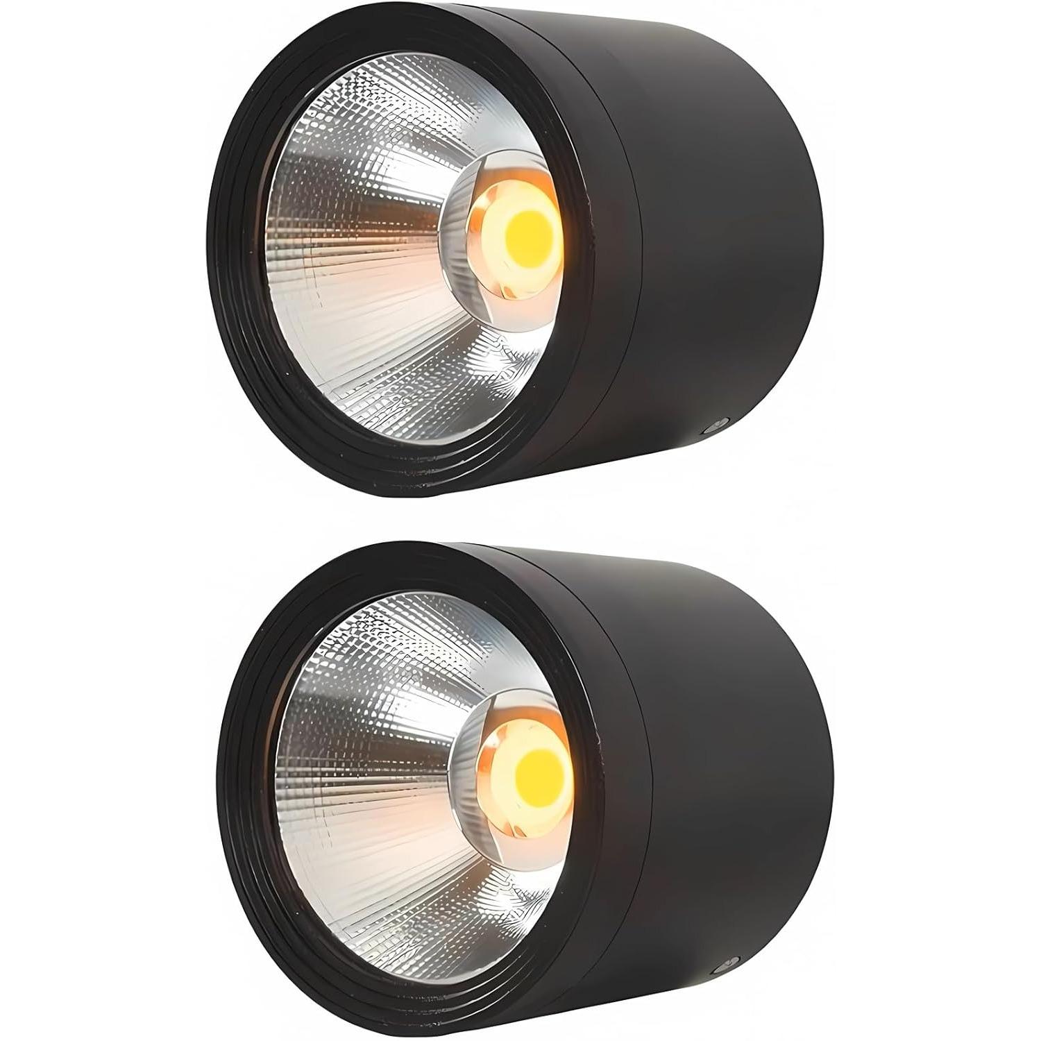 

2-Pack Outdoor Ceiling Light, LED Ceiling Spotlight 18W, Modern Waterproof Flush Mount Downlight, Black Aluminum Exterior Ceiling Lights 2-Pack чорний