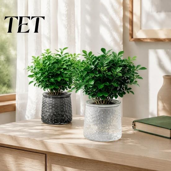 Clear Plastic Planters Self?Watering Planter Pot, Thick Transparent Flower Embossed Indoor Plant Pots Decorative for Hydroponic Houseplants