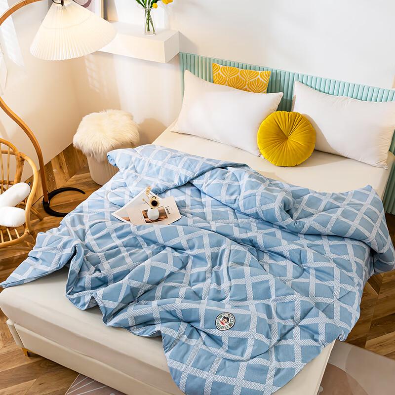 Paul Frank Niacinamide Moisturizing All-Season Quilt