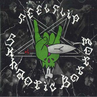 

CD FEELFLIP - Skhaotic Bottom NONE NINTH APOLLO Japan Japanese Pop/Rock Used