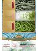 Mao Jian 2025 Pre-Rain High Mountain Green Tea Buds, 500g Can, Rich Aroma, Durable Infusion, Spring Tea Gift Box