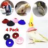 QBLEEV 4Pack Pet Parrot Anti-bite E-Collars, Anti-Grab Feather Plucking Wound Healing Safety Elizabethan Collar, Protective Recovery Cones for
