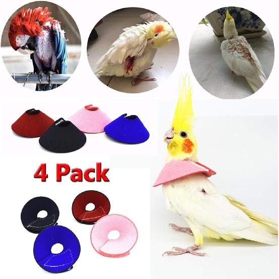 QBLEEV 4Pack Pet Parrot Anti-bite E-Collars, Anti-Grab Feather Plucking Wound Healing Safety Elizabethan Collar, Protective Recovery Cones for