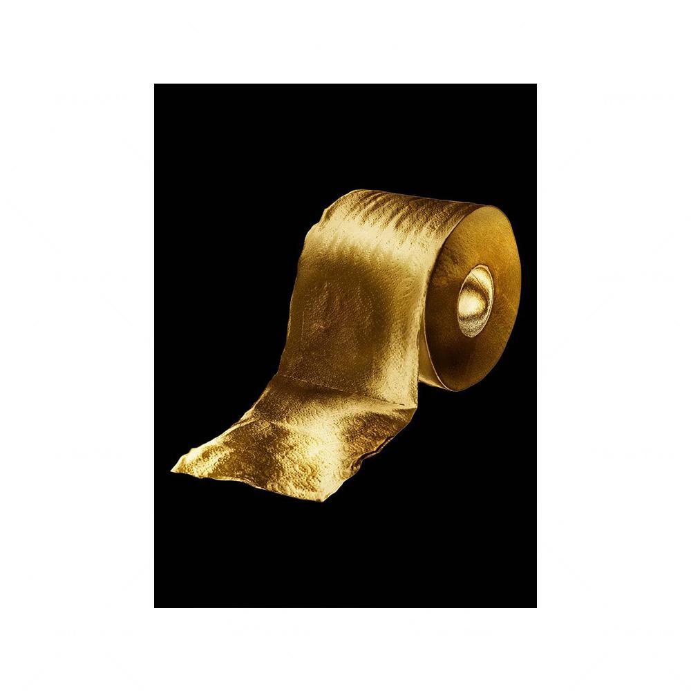 

WC туалет плакат украшения модные женские декоративные картины черный золотой рулон бумаги холст настенные художественные картины для ванной комнаты 30x40cm No Framed