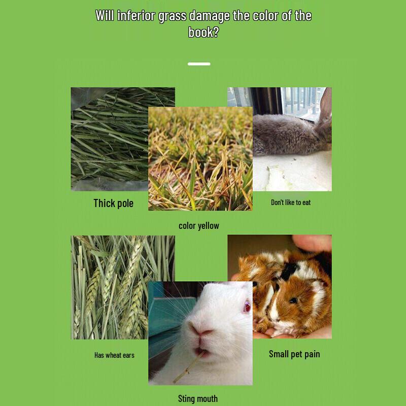 Jiexi Natural Hay & Grass Feed for Small Pets