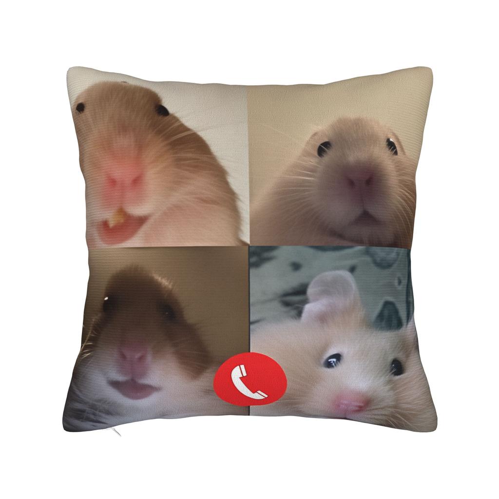 Hamster Faded Funny s Style Square Pillow Cases Cushion Cover Fashion Zippered Decorative Pillowcase for Home cm