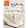 Muji Class A Xinjiang Pure Cotton Quilt