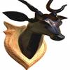 DEER HEAD 50cm wall décor wooden handicraft showpieces products Make your home and office, attractive and different