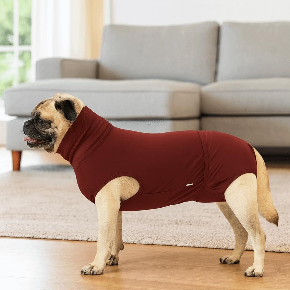 Breathable Dog Recovery Suit Washable Prevent Licking Clothes  Postoperative Care