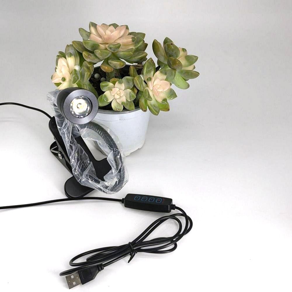 Adjustable Clip-on Table Lamp Metal Clamp Spotlight Reading Light Versatile Book Light  Headboards