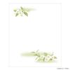 Kamiiso Kimono Beauty Kaishi Tissue for Tea 175mm x Pack of 3042 (Paper Paper) Ceremony, 145mm, 20, No.