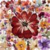 50Pcs/Set Wabi-sabi. Retro Flowers & Leaves Series 02 PET Stickers Waterproof DIY Fashion Doodle Decals Stickers