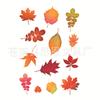 Sovy Transparentní silikonová čirá razítka pro těsnění DIY scrapbooking fotoalbum Květina Pampeliška Leaf Lace Frame 2023