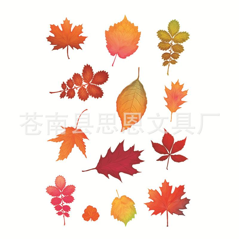 Sovy Transparentní silikonová čirá razítka pro těsnění DIY scrapbooking fotoalbum Květina Pampeliška Leaf Lace Frame 2023