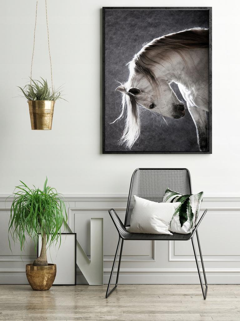 Picture, poster Framed 73x53 cm Horse P506