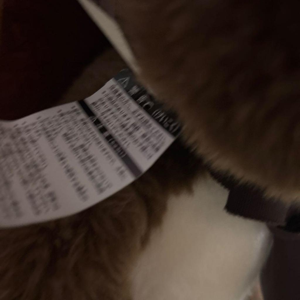 [USED] Cuddly Brown Teddy Bear Made In Japan