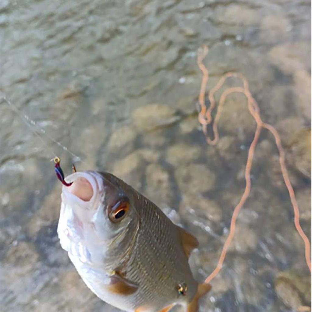 6/12/18/24 szt./pudełko Różne nimfy epoksydowe do połowu muchowego na pstrągi, okonie, ryby, przynęty wędkarskie
