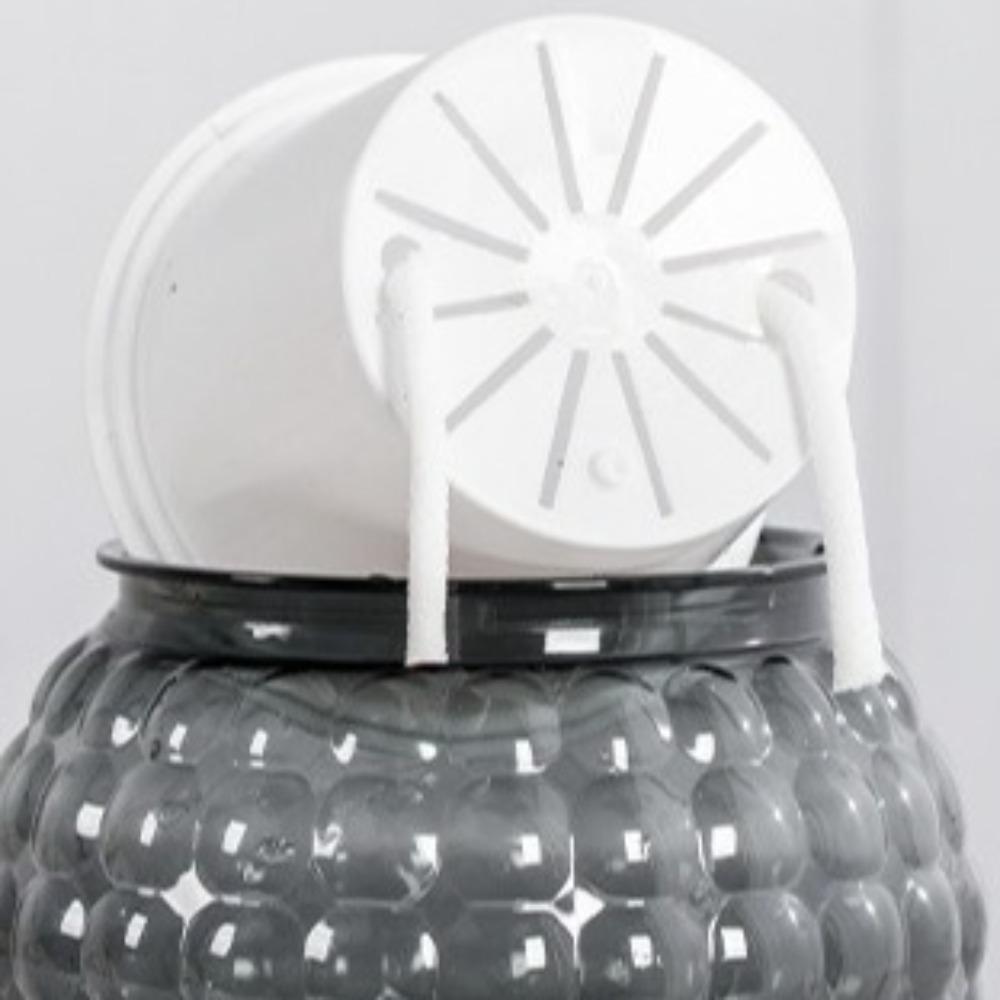 Removable Hydroponic Plants Pot Self Watering Office Bonsai Decor  for Plants and Flowers