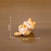 Creative Resin Fat Cat Figurine Blind Box Cute Desk And Car Decoration