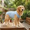 Sleeveless Cat Recovery Suit Breathable Dog Jumpsuit Comfortable Pet Anti-Lick Cloth  Outdoor Use
