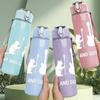 1PC Cat And Guitar Silhouette 750ml Color Plastic Sports Water Bottle Leakproof Flip Straw Lid Suitable for Sports Office Home Use