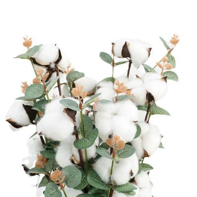 5pcs Cotton Flower Heads with Eucalyptus Leaves Cotton Eucalyptus Stems Floral Stems for Home Farmhouse Vase Decoration