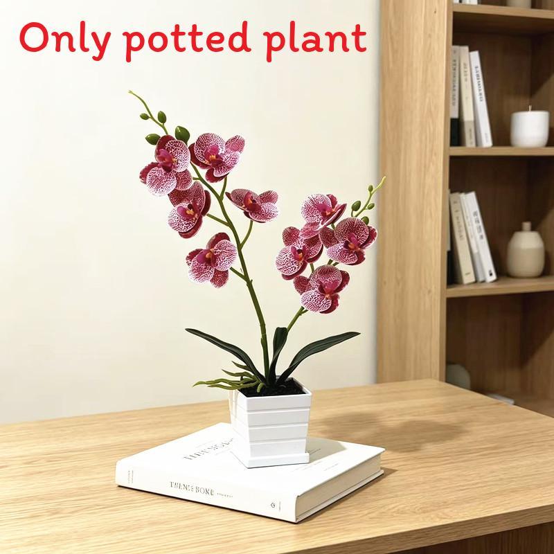 Decorative Butterfly Orchid Indoor Planter With Plastic Material For Home Decor And Photography Props