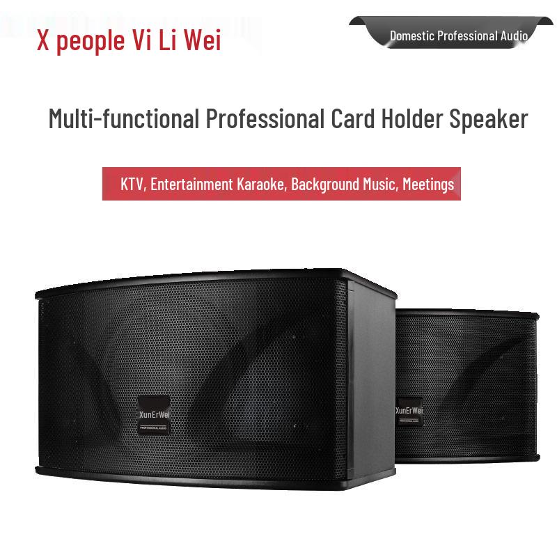 Xun Er Wei Professional Integrated Conference System (CN Version)