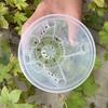 Flower Pot 14cm Flower Pot No Rotten Roots Thickened
