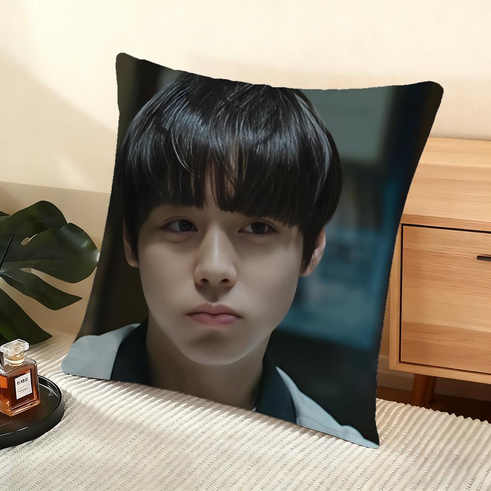 Cushion Cover Silky Short Plush Home Sofa Cushion Cover - Invisible Zipper Home Decoration WeakHero TV Series