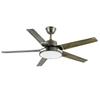 IRALAN Modern Ceiling Fan With Light DC motor with remote control simple LED ceiling fan home appliance 110V 220V