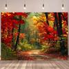 2D Herbstwald Kulisse Lebendige Ahorn Bäume Fotografie Hintergrundtuch