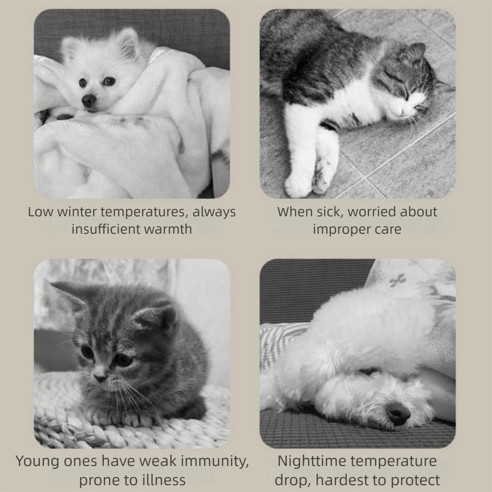 Waterproof Pet Electric Blanket Anti-scratch Thermostat Control Electric Heating Dog Bed Cartoon Pattern Warm