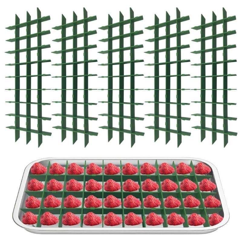 5Pcs Freezer Divider Tray Drying Supplies Freeze Dryer for Home Candy Freezer Tray Freezer Tray for Fruits