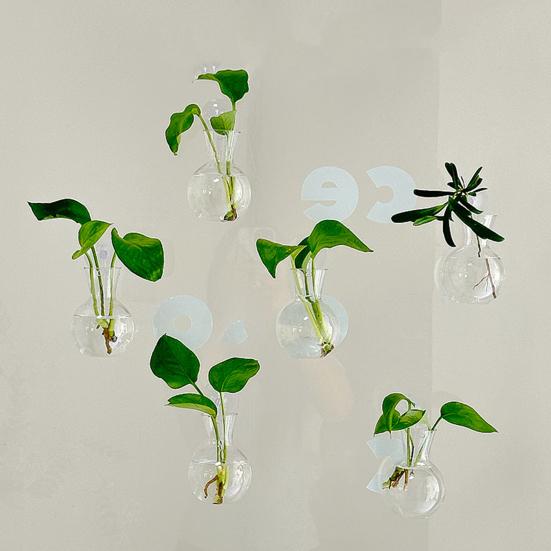 1/2/3/4/6/8Pcs Window Propagation Station Plant Propagation Glass Bulb with Suction Cup Transparent Planter Propagation Planter Terrarium Vase